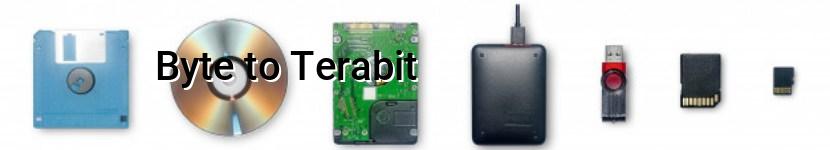 byte to terabit