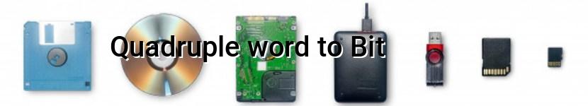 quadruple word to bit