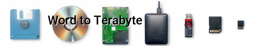 word to terabyte