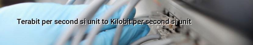 terabit per second si unit to kilobit per second si unit