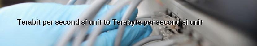 terabit per second si unit to terabyte per second si unit