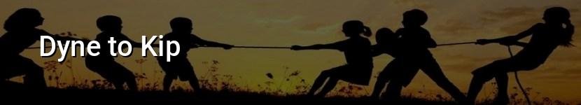 dyne to kip