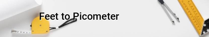 feet to picometer