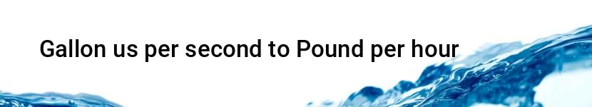 gallon us per second to pound per hour