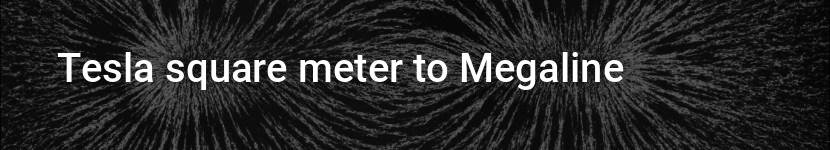 tesla square meter to megaline