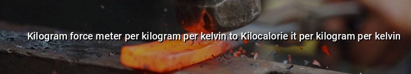 kilogram force meter per kilogram per kelvin to kilocalorie it per kilogram per kelvin