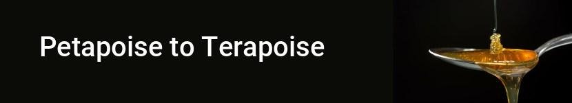 petapoise to terapoise